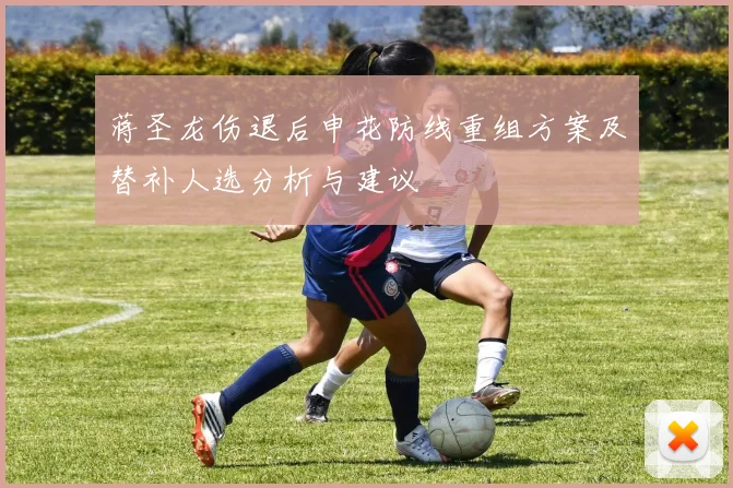 蒋圣龙伤退后申花防线重组方案及替补人选分析与建议